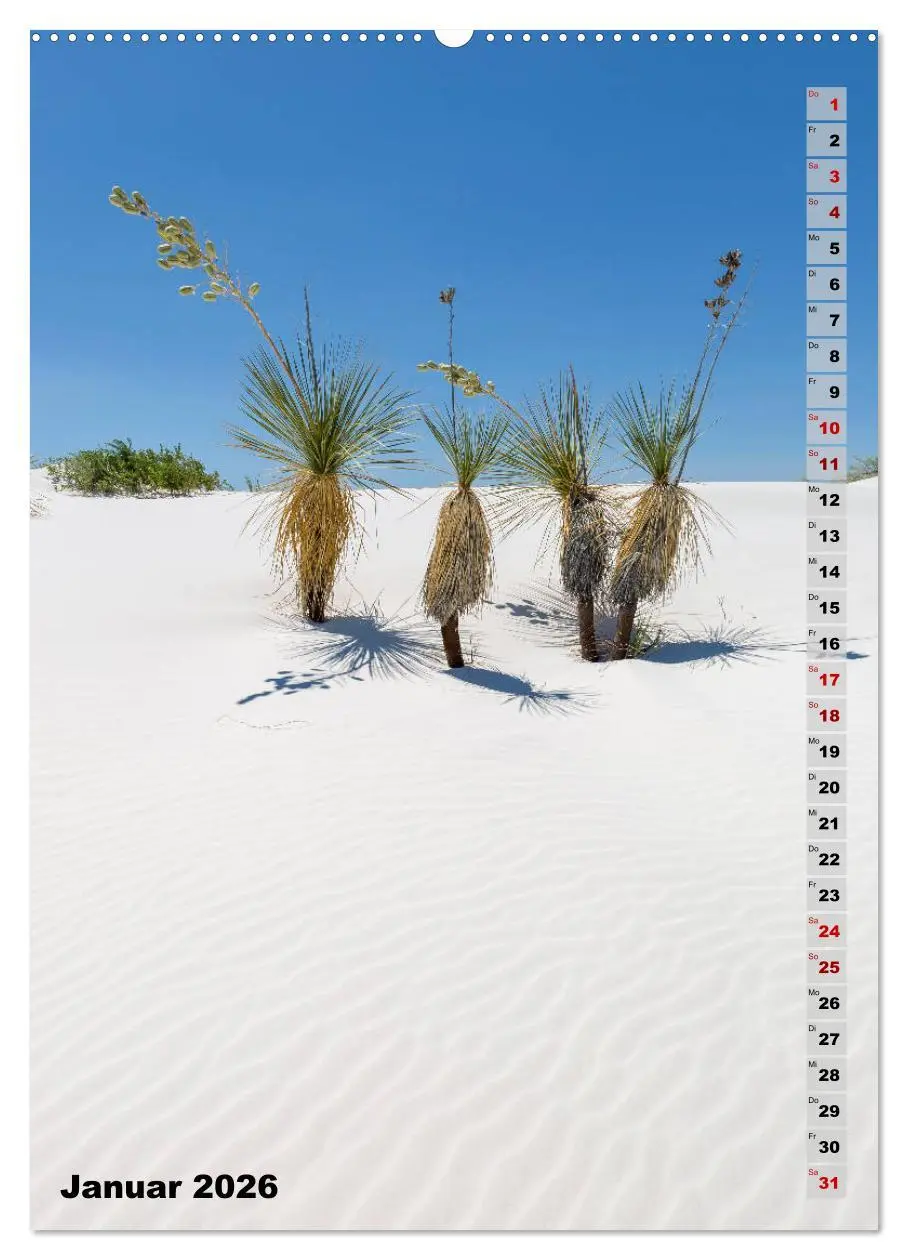 Bild: 9783516389906 | WHITE SANDS NATIONAL MONUMENT Wüstenimpressionen (Wandkalender 2026...