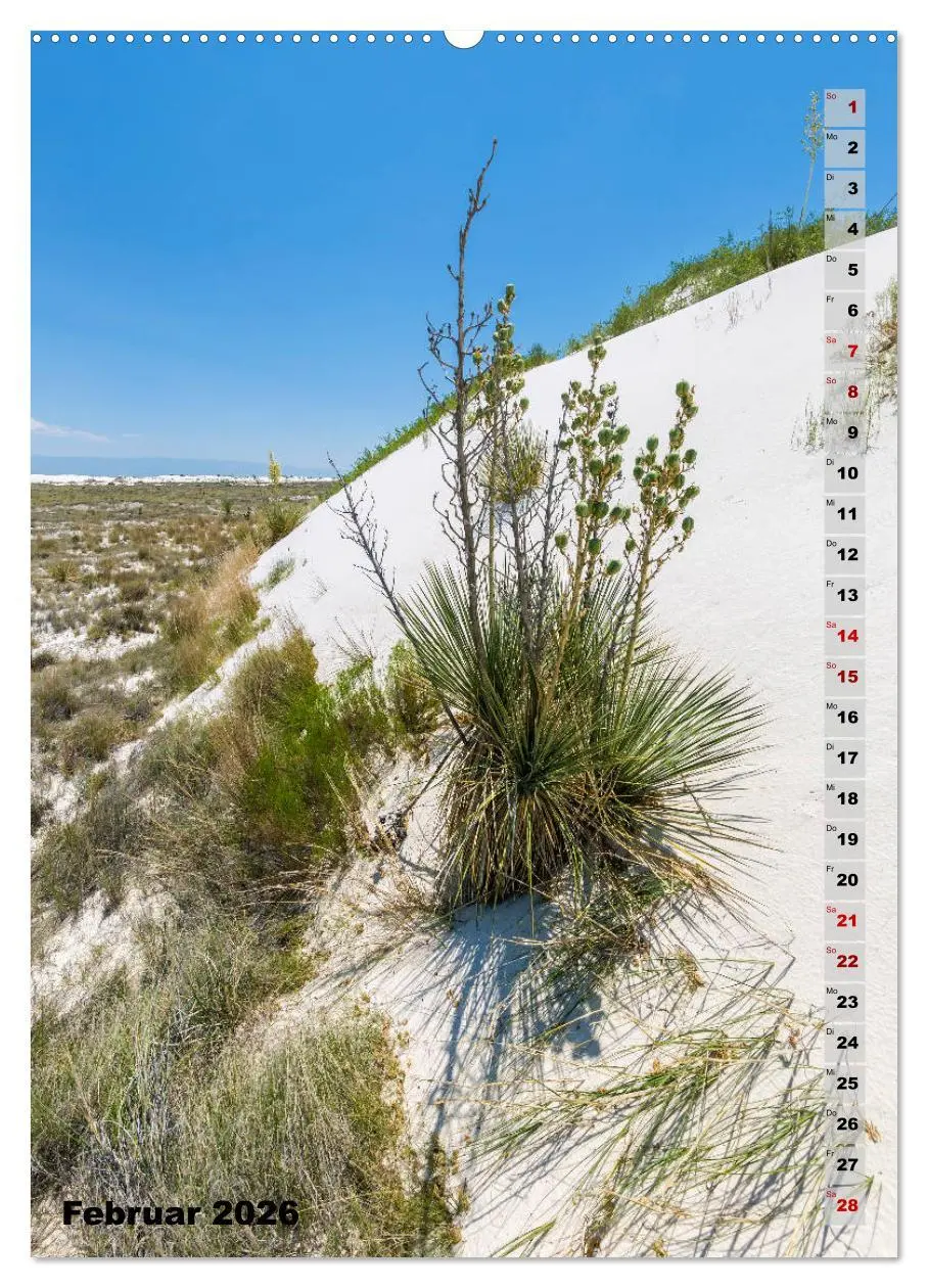 Bild: 9783516389906 | WHITE SANDS NATIONAL MONUMENT Wüstenimpressionen (Wandkalender 2026...