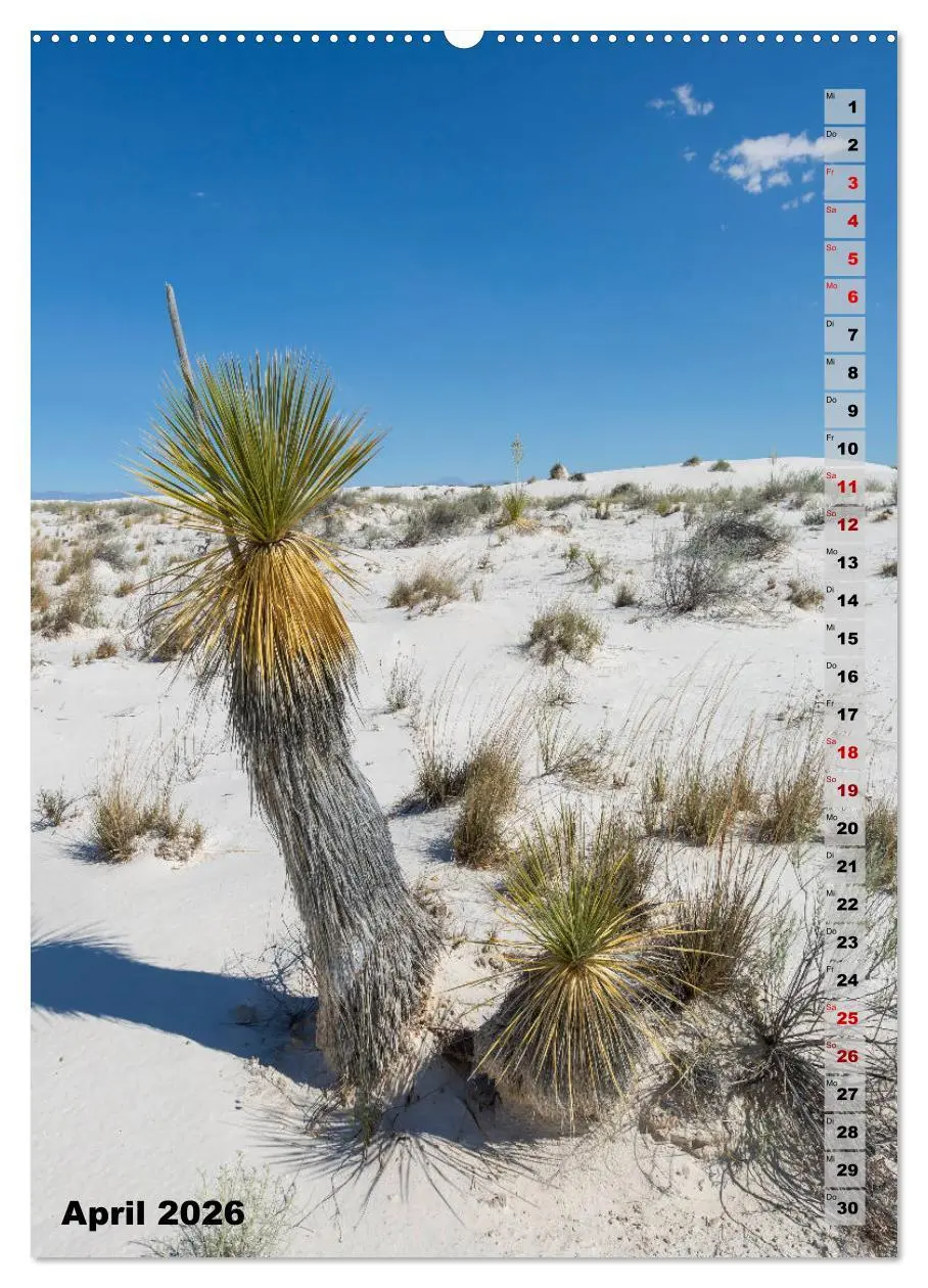 Bild: 9783516389906 | WHITE SANDS NATIONAL MONUMENT Wüstenimpressionen (Wandkalender 2026...