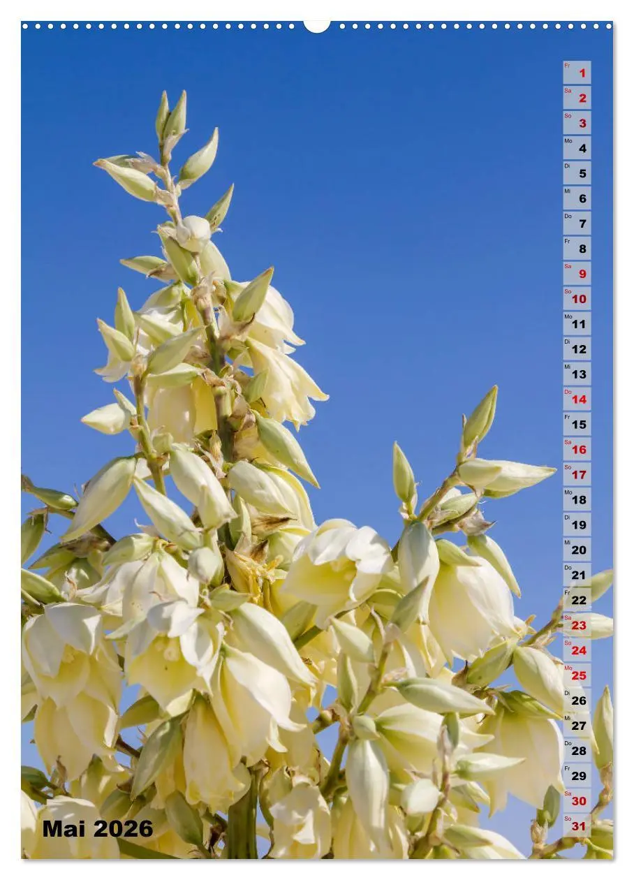 Bild: 9783516389906 | WHITE SANDS NATIONAL MONUMENT Wüstenimpressionen (Wandkalender 2026...