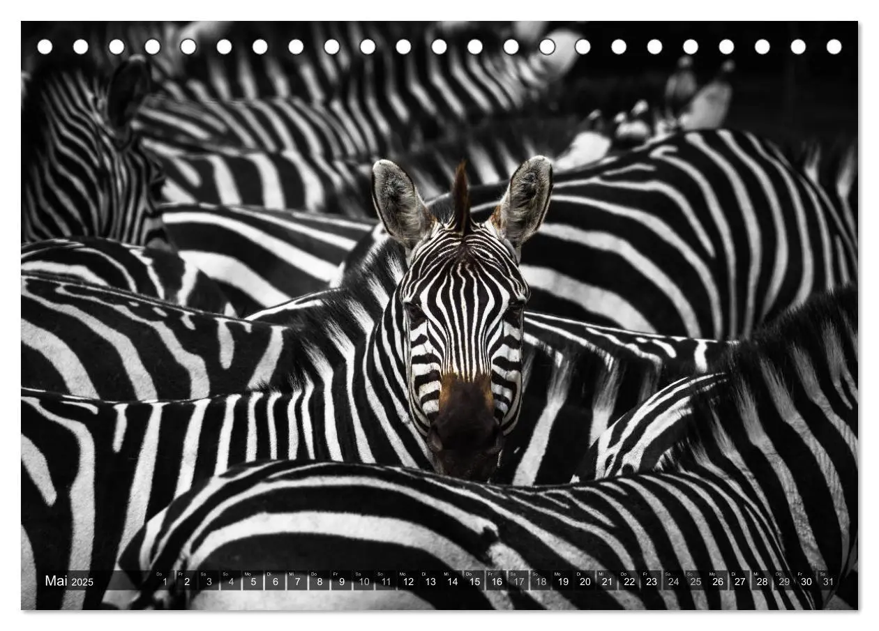 Bild: 9783435390007 | spotlight tansania (Tischkalender 2025 DIN A5 quer), CALVENDO...