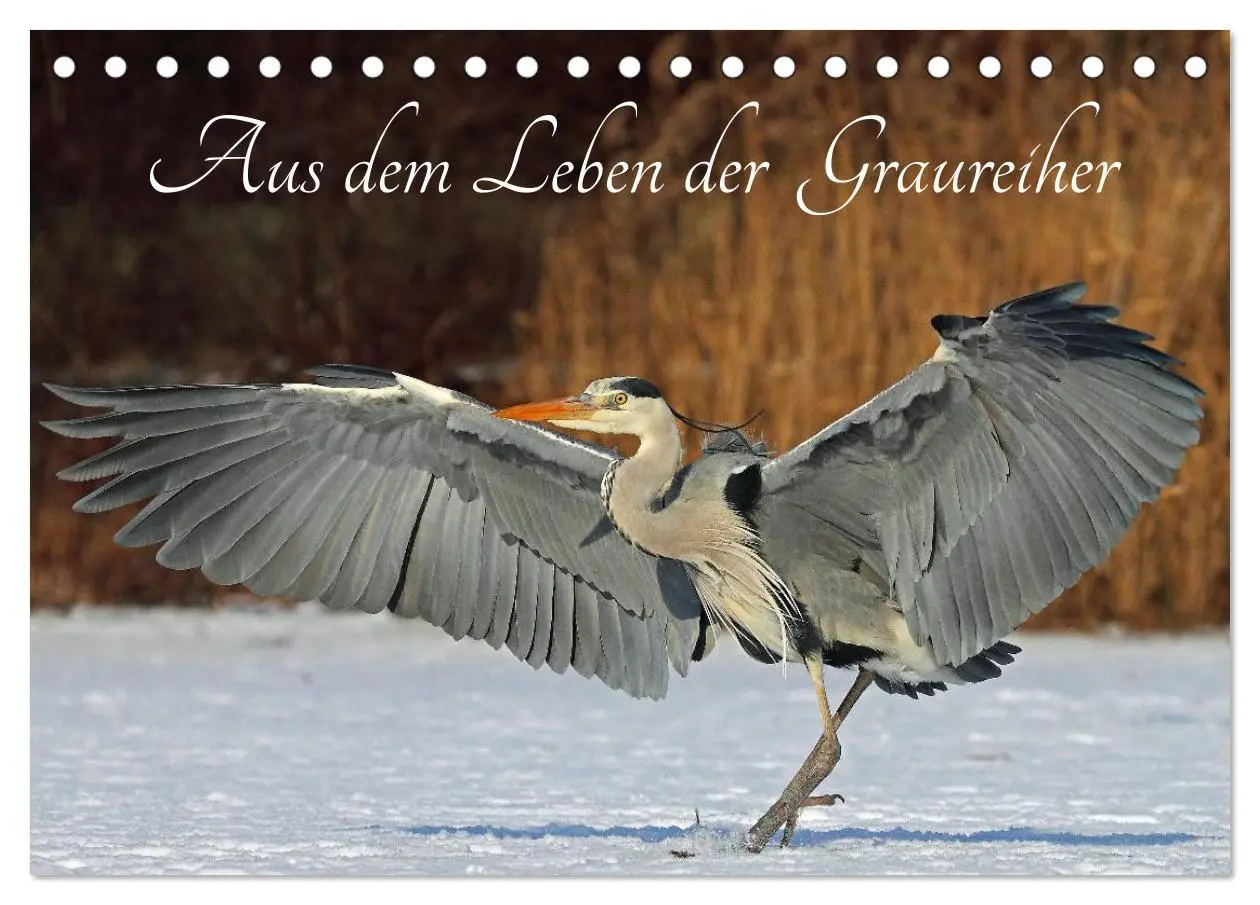 Cover: 9783516020007 | Aus dem Leben der Graureiher (Tischkalender 2026 DIN A5 quer),...