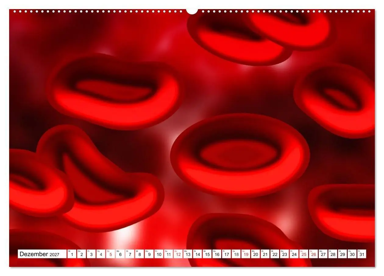 Bild: 9783569890107 | Mikrobiologie. Mikroorganismen, Genetik und Zellen (hochwertiger...