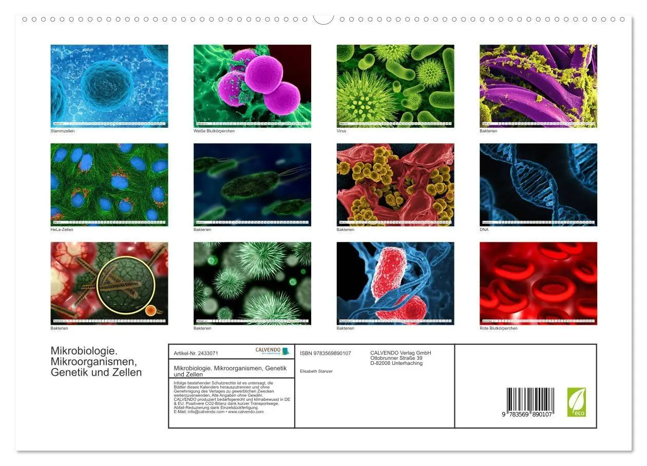 Bild: 9783569890107 | Mikrobiologie. Mikroorganismen, Genetik und Zellen (hochwertiger...