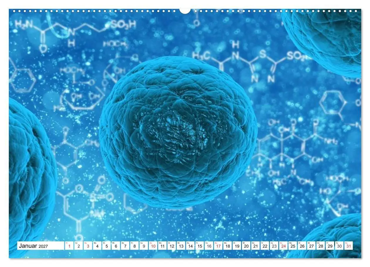 Bild: 9783569890107 | Mikrobiologie. Mikroorganismen, Genetik und Zellen (hochwertiger...