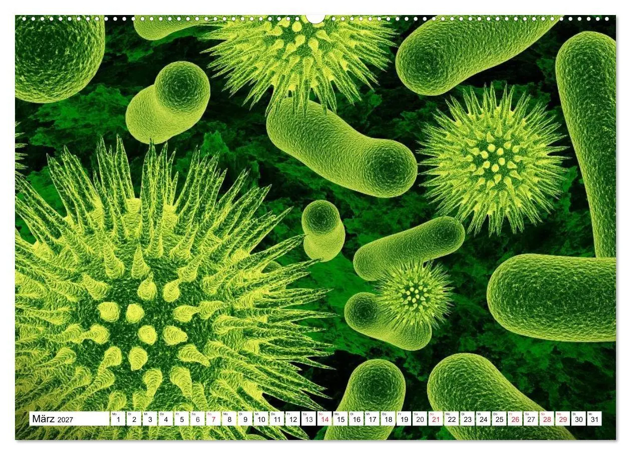 Bild: 9783569890107 | Mikrobiologie. Mikroorganismen, Genetik und Zellen (hochwertiger...