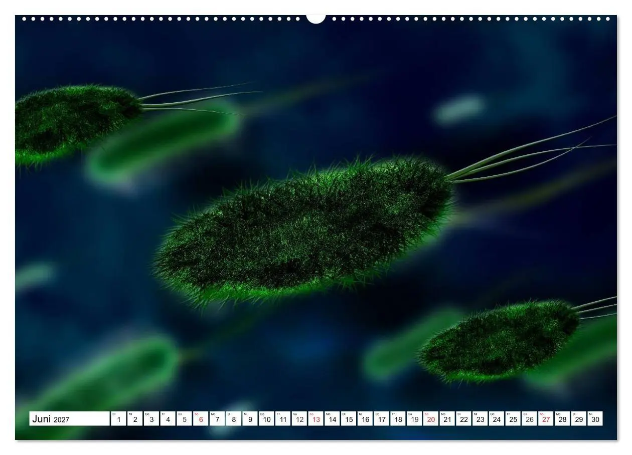 Bild: 9783569890107 | Mikrobiologie. Mikroorganismen, Genetik und Zellen (hochwertiger...