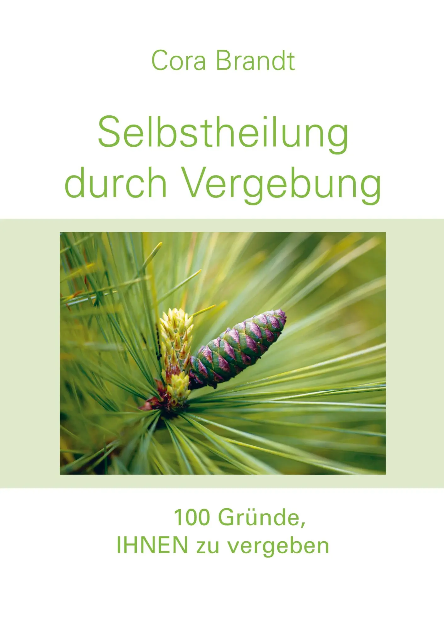 Cover: 9783695760107 | Selbstheilung durch Vergebung | 100 Gründe, IHNEN zu vergeben | Brandt