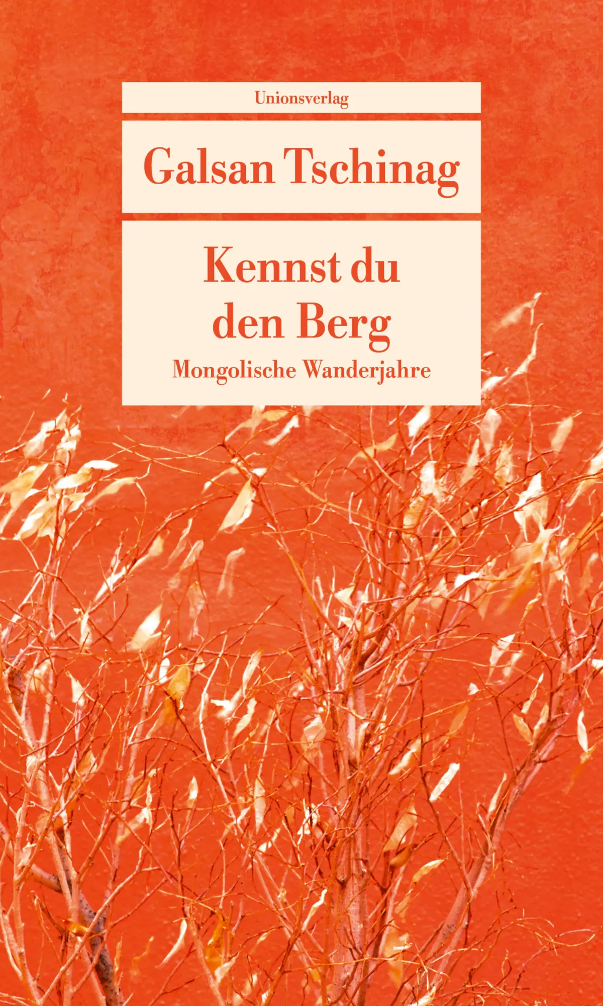 Cover: 9783293710207 | Kennst du den Berg | Mongolische Wanderjahre. Die Lebensromane (2)