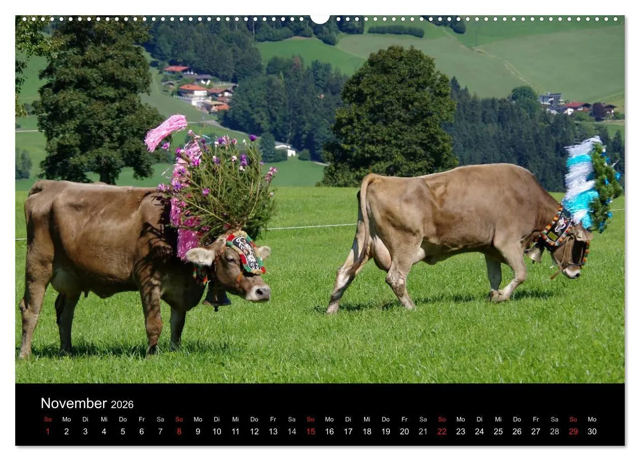 Bild: 9783516000207 | Almabtrieb in Tirol (hochwertiger Premium Wandkalender 2026 DIN A2...