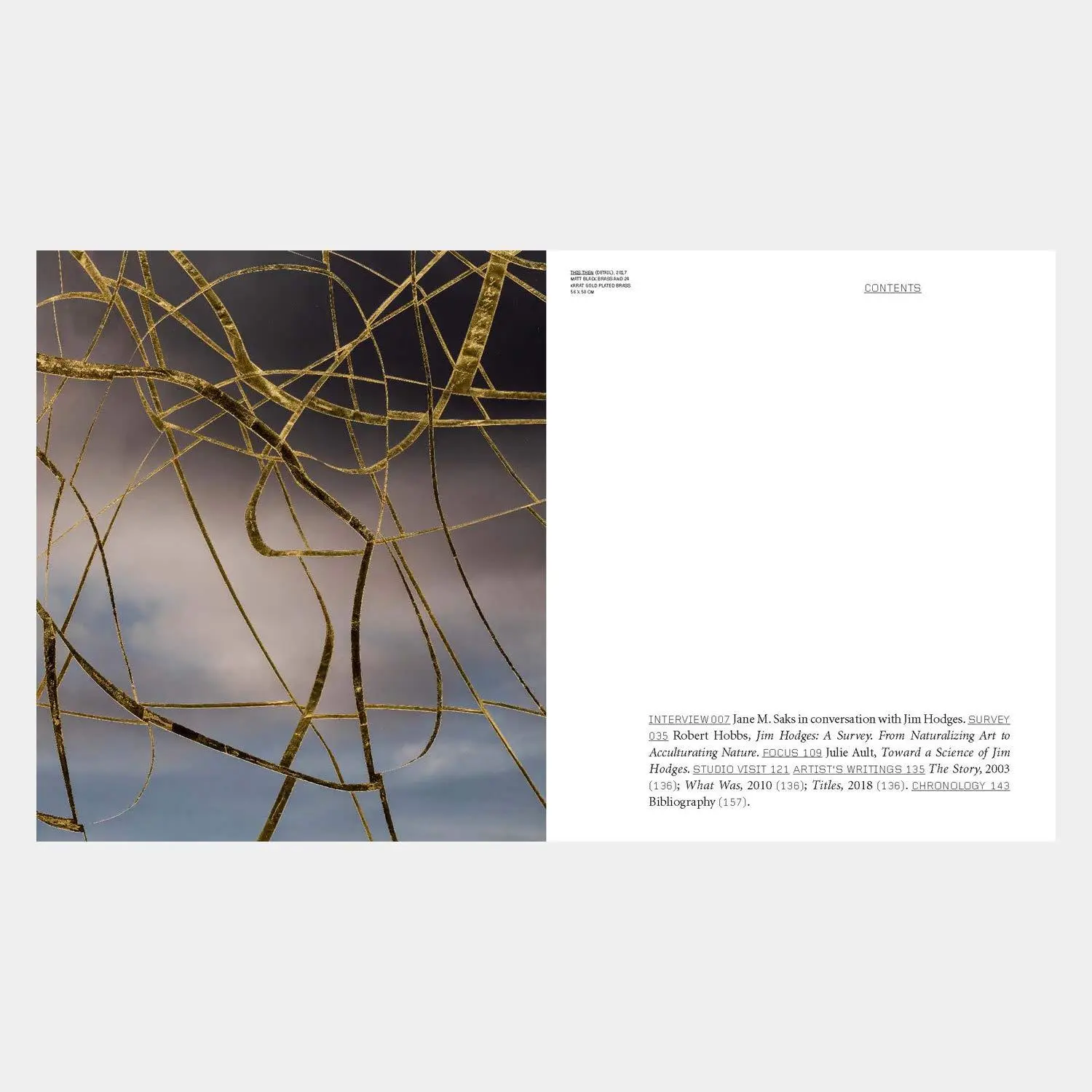 Bild: 9781838660307 | Jim Hodges | Jane M Saks (u. a.) | Taschenbuch | 160 S. | Englisch
