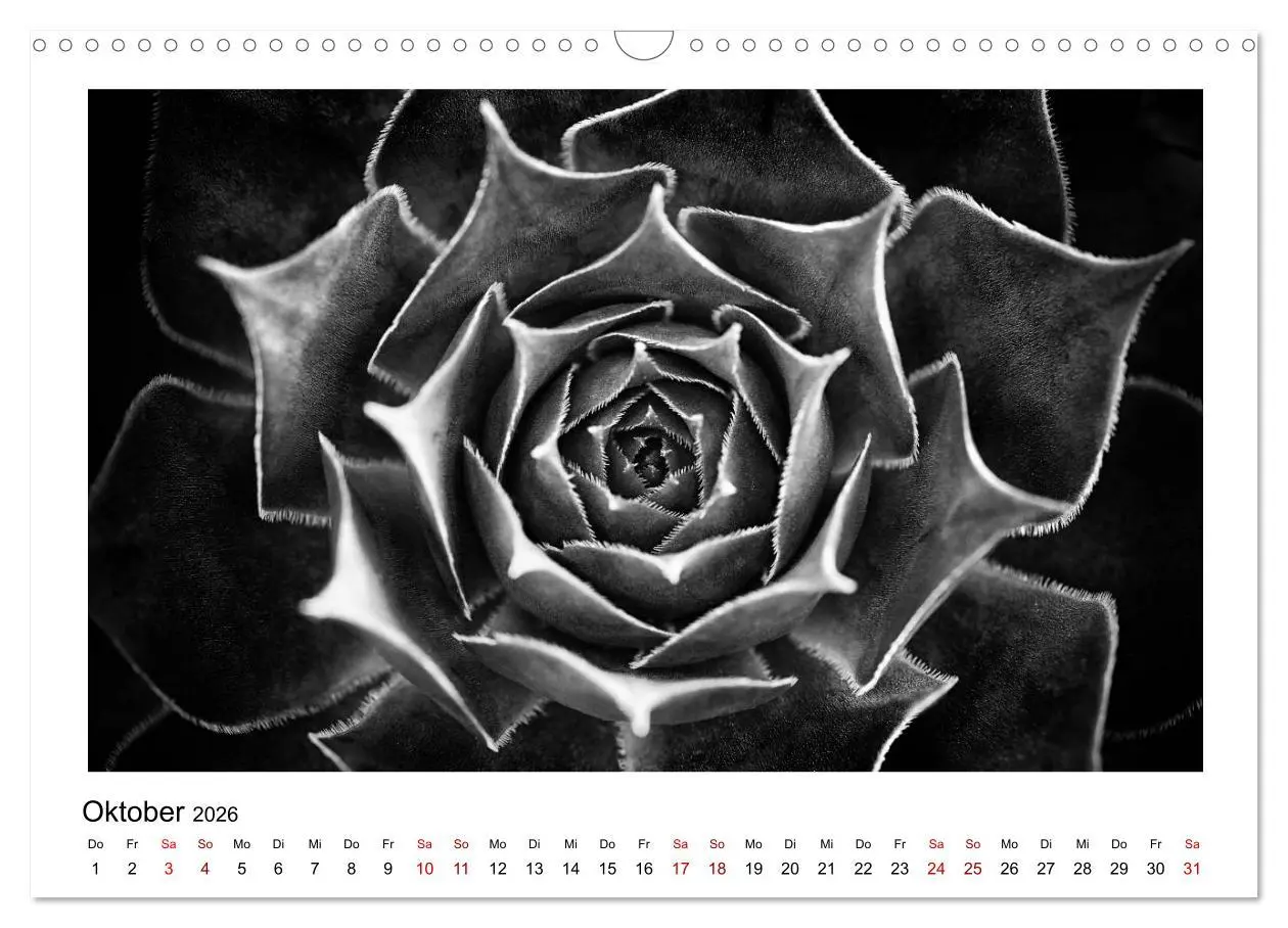 Bild: 9783457900307 | Die grafische Schönheit der Pflanzen - Schwarz-Weiß (Wandkalender...