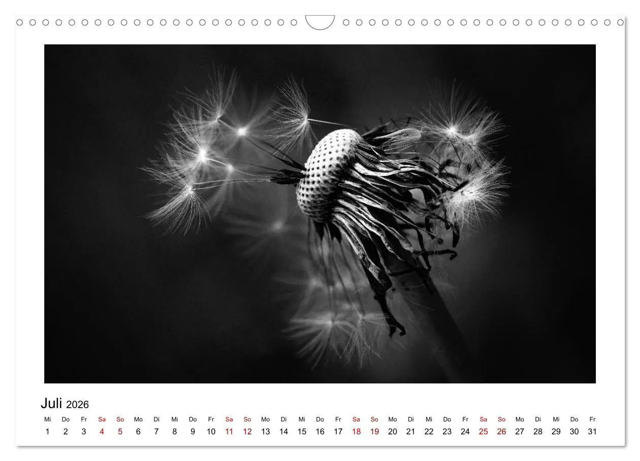 Bild: 9783457900307 | Die grafische Schönheit der Pflanzen - Schwarz-Weiß (Wandkalender...