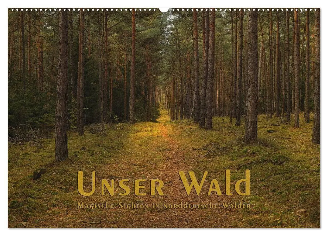 Cover: 9783516160307 | Unser Wald - Magische Sichten in norddeutsche Wälder (Wandkalender...