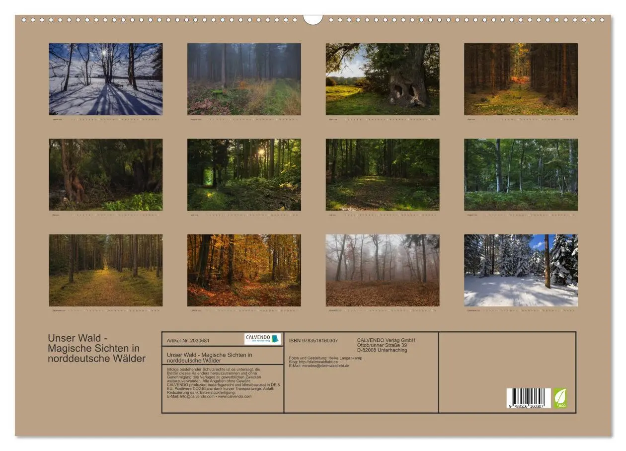 Bild: 9783516160307 | Unser Wald - Magische Sichten in norddeutsche Wälder (Wandkalender...