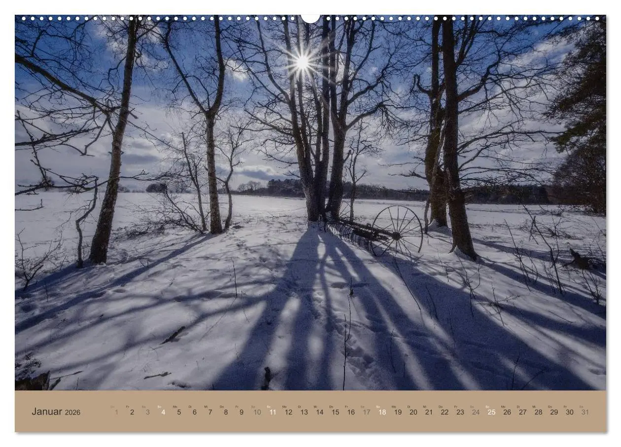 Bild: 9783516160307 | Unser Wald - Magische Sichten in norddeutsche Wälder (Wandkalender...