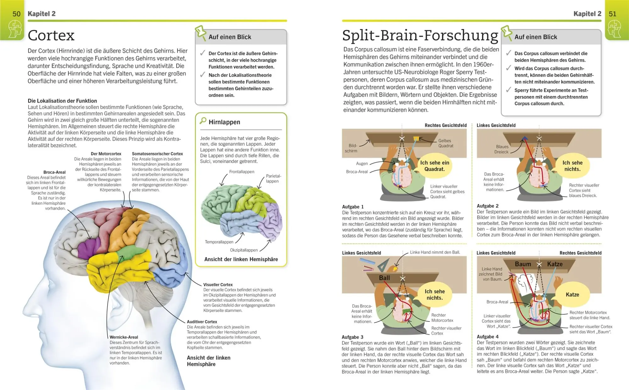 Bild: 9783831050307 | Visuelles Wissen. Psychologie | Tom Buxton-Cope (u. a.) | Taschenbuch