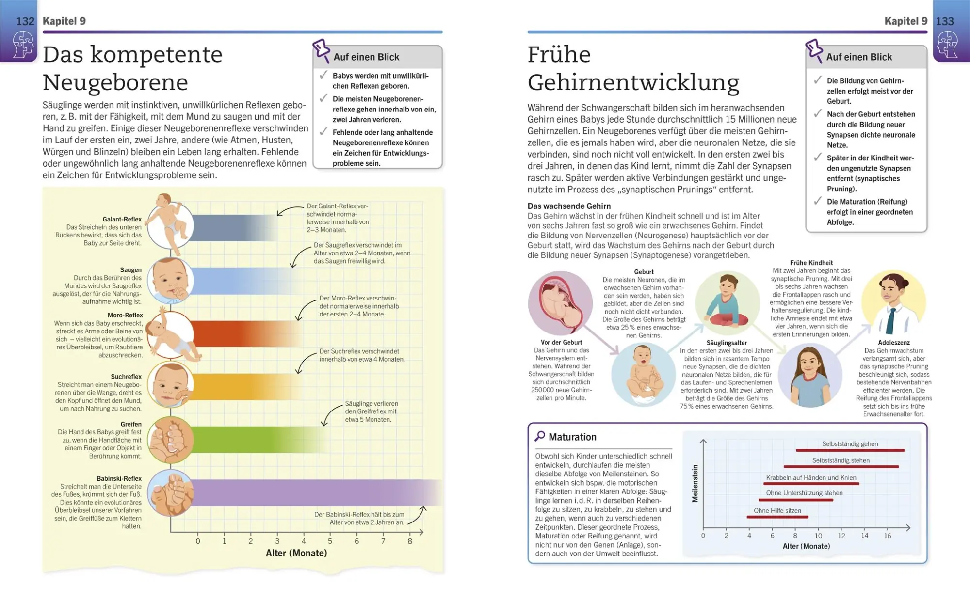 Bild: 9783831050307 | Visuelles Wissen. Psychologie | Tom Buxton-Cope (u. a.) | Taschenbuch