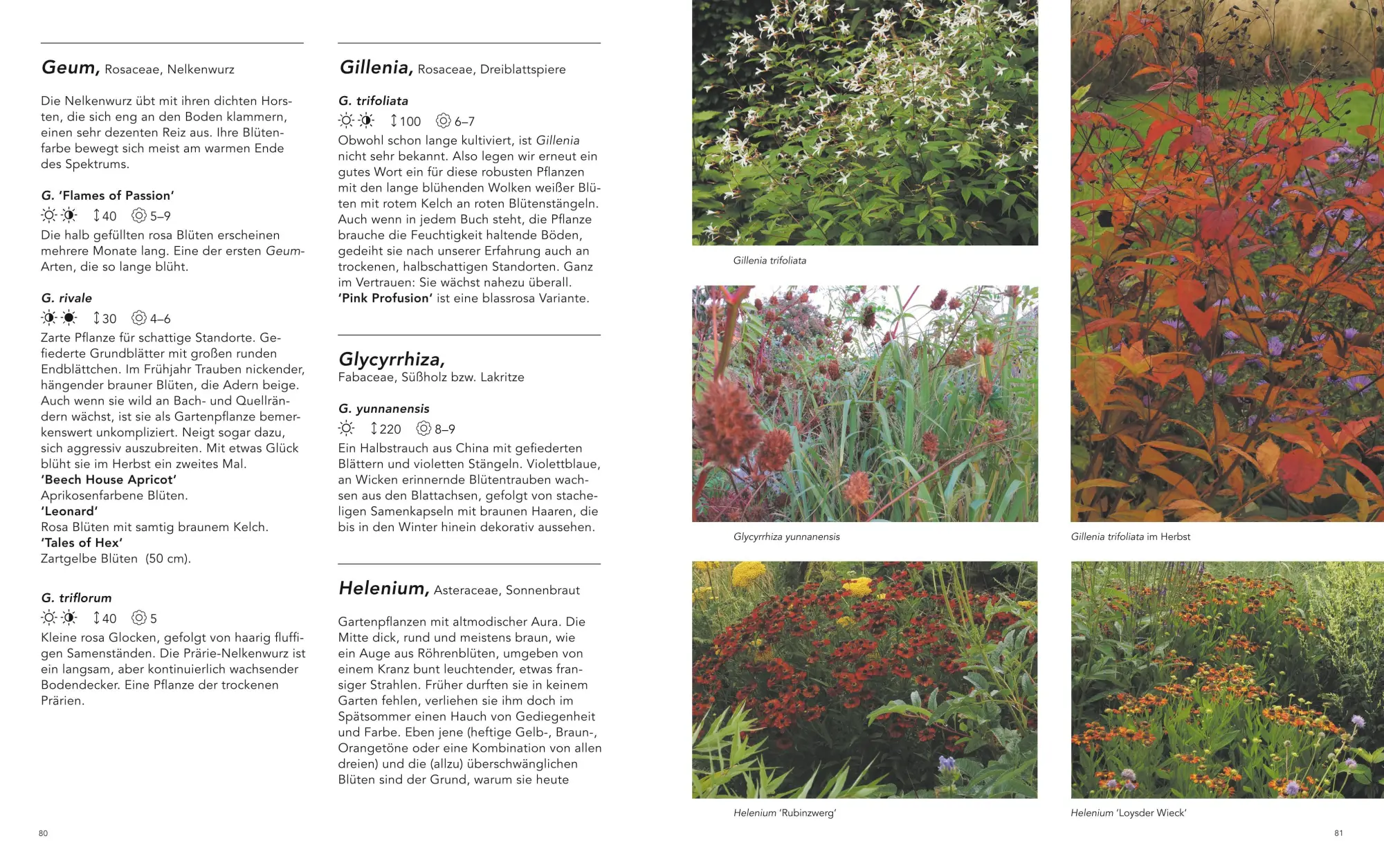 Bild: 9783967470307 | Gärten inspiriert von der Natur | Piet Oudolf | Buch | 288 S. | 2021