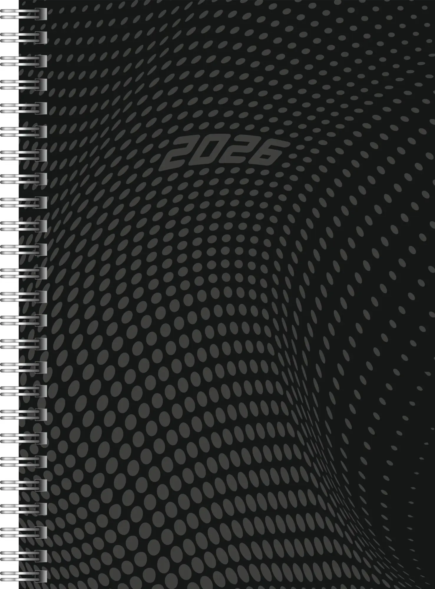 Cover: 4003273790407 | rido/idé 7021804906 Buchkalender Mod. Timing 1 2026 A5, Kunststoff,...