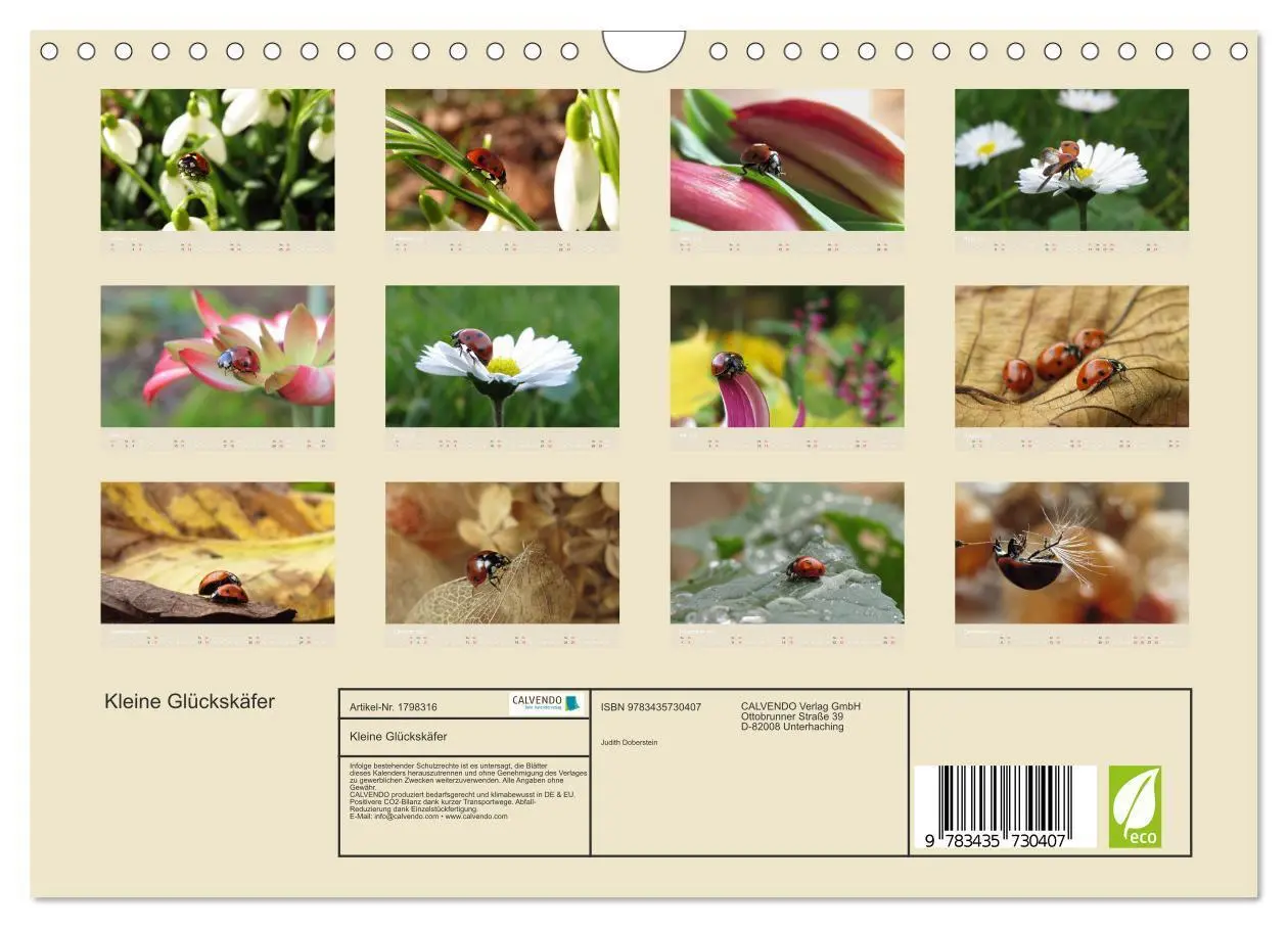 Bild: 9783435730407 | Kleine Glückskäfer (Wandkalender 2025 DIN A4 quer), CALVENDO...