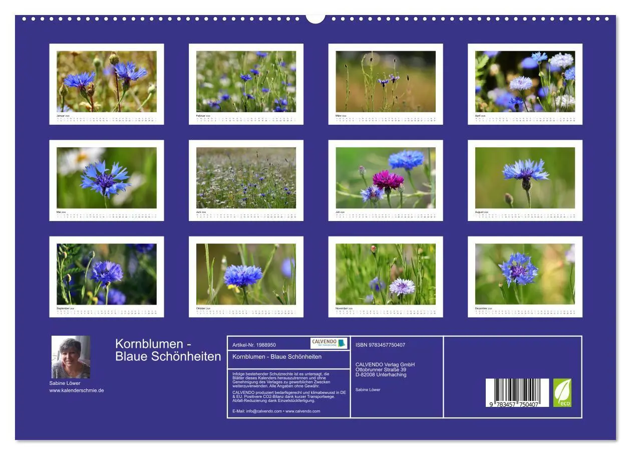 Bild: 9783457750407 | Kornblumen - Blaue Schönheiten (hochwertiger Premium Wandkalender...