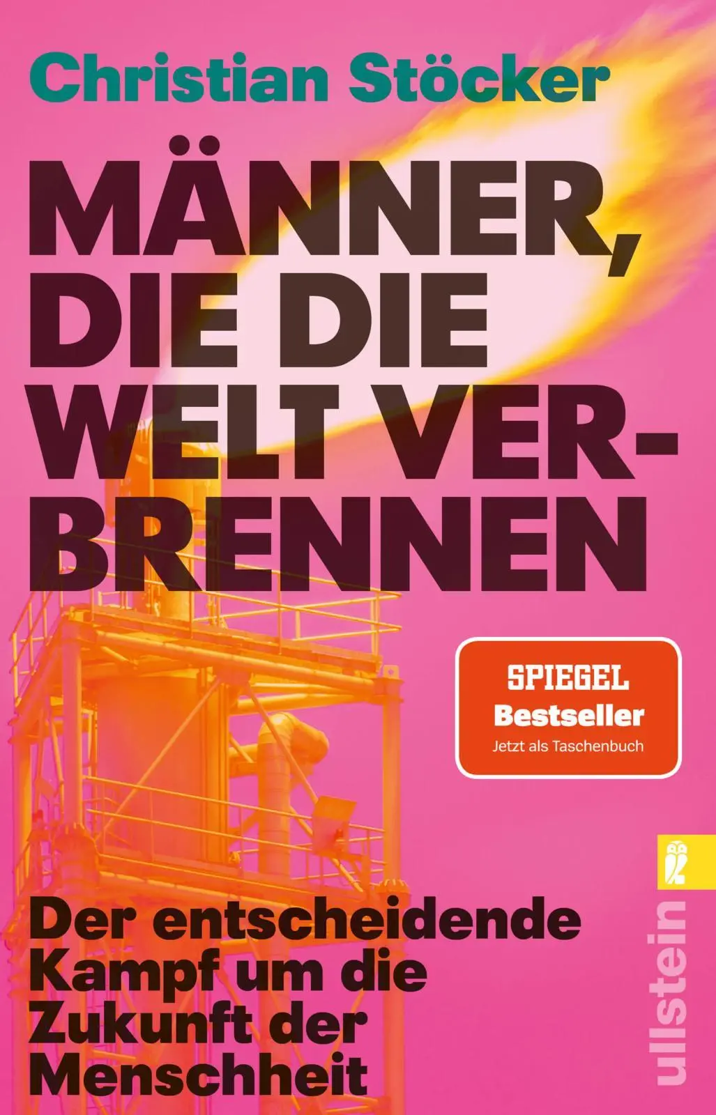 Cover: 9783548070407 | Männer, die die Welt verbrennen | Christian Stöcker | Taschenbuch