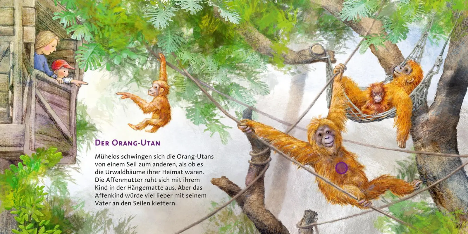 Bild: 9783551250407 | Hör mal (Soundbuch): Im Zoo | Anne Möller | Buch | Hör mal (Soundbuch)