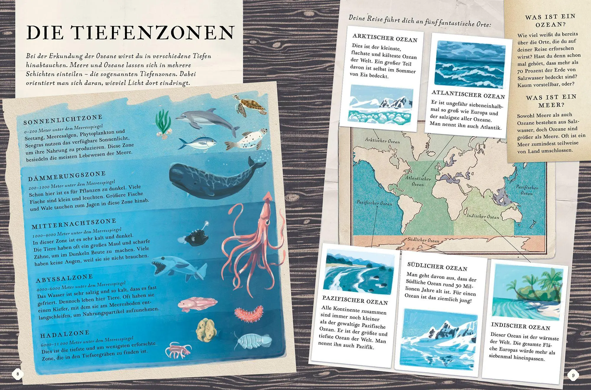 Bild: 9783989620407 | Erkunde den Ozean in diesem Buch | Rachel Elliot | Buch | 48 S. | 2026