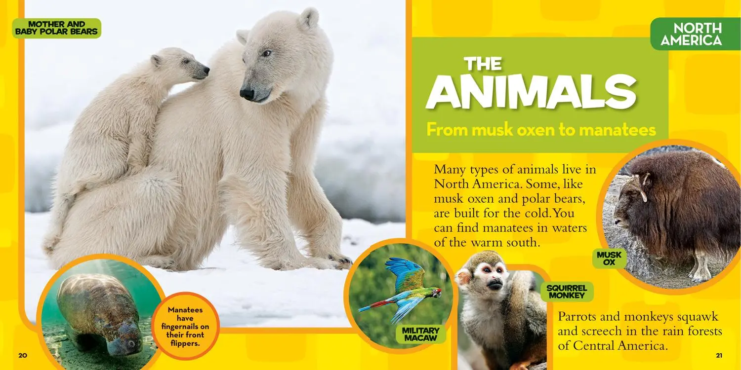 Bild: 9781426320507 | National Geographic Little Kids First Big Book of the World | Carney