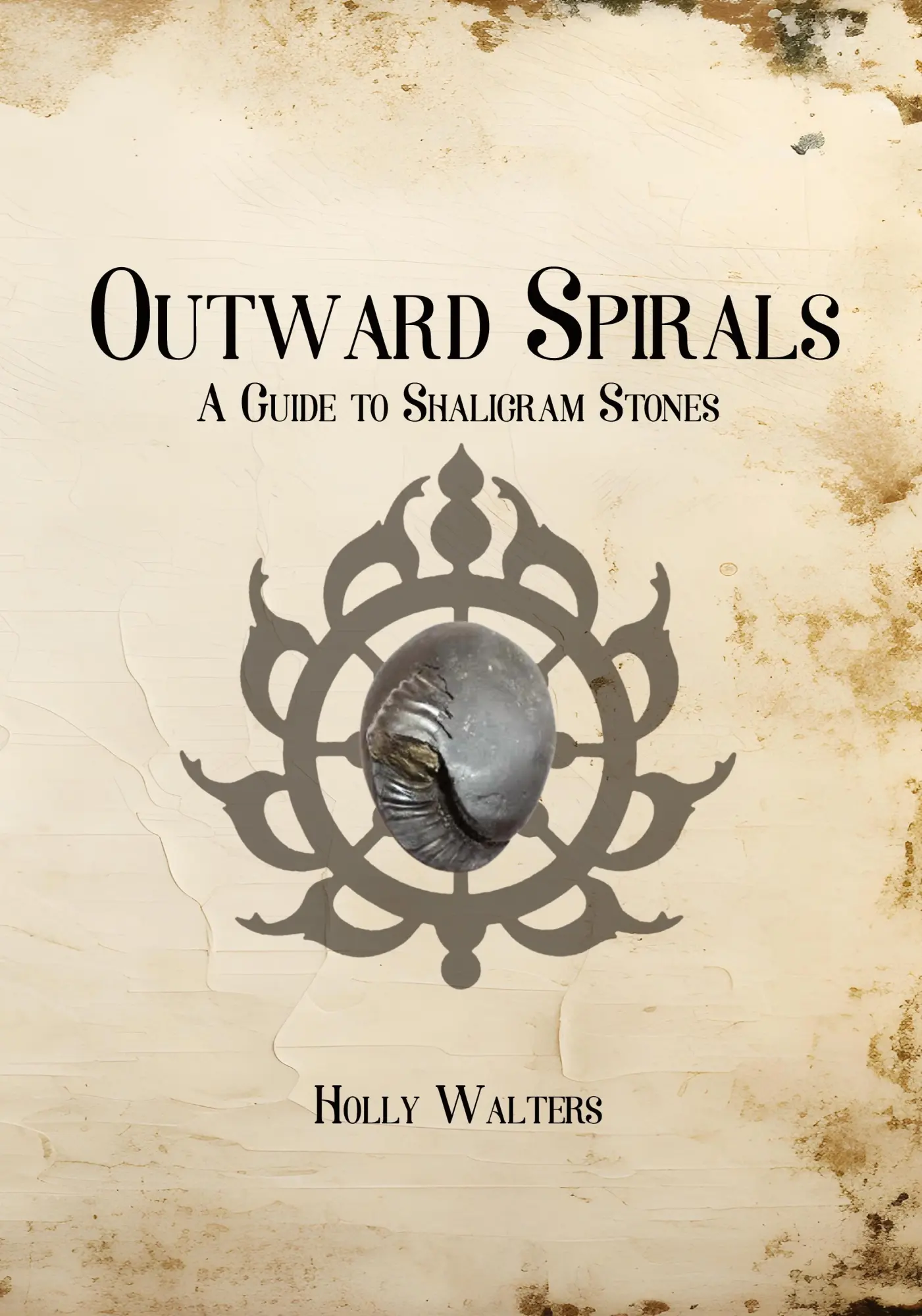 Cover: 9781959350507 | Outward Spirals | Holly Walters | Taschenbuch | Englisch | 2024