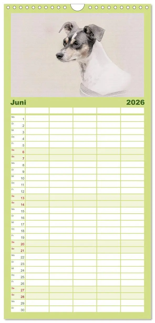 Bild: 9783516520507 | Familienplaner 2026 - Bodeguero Andaluz 2026 mit 5 Spalten...
