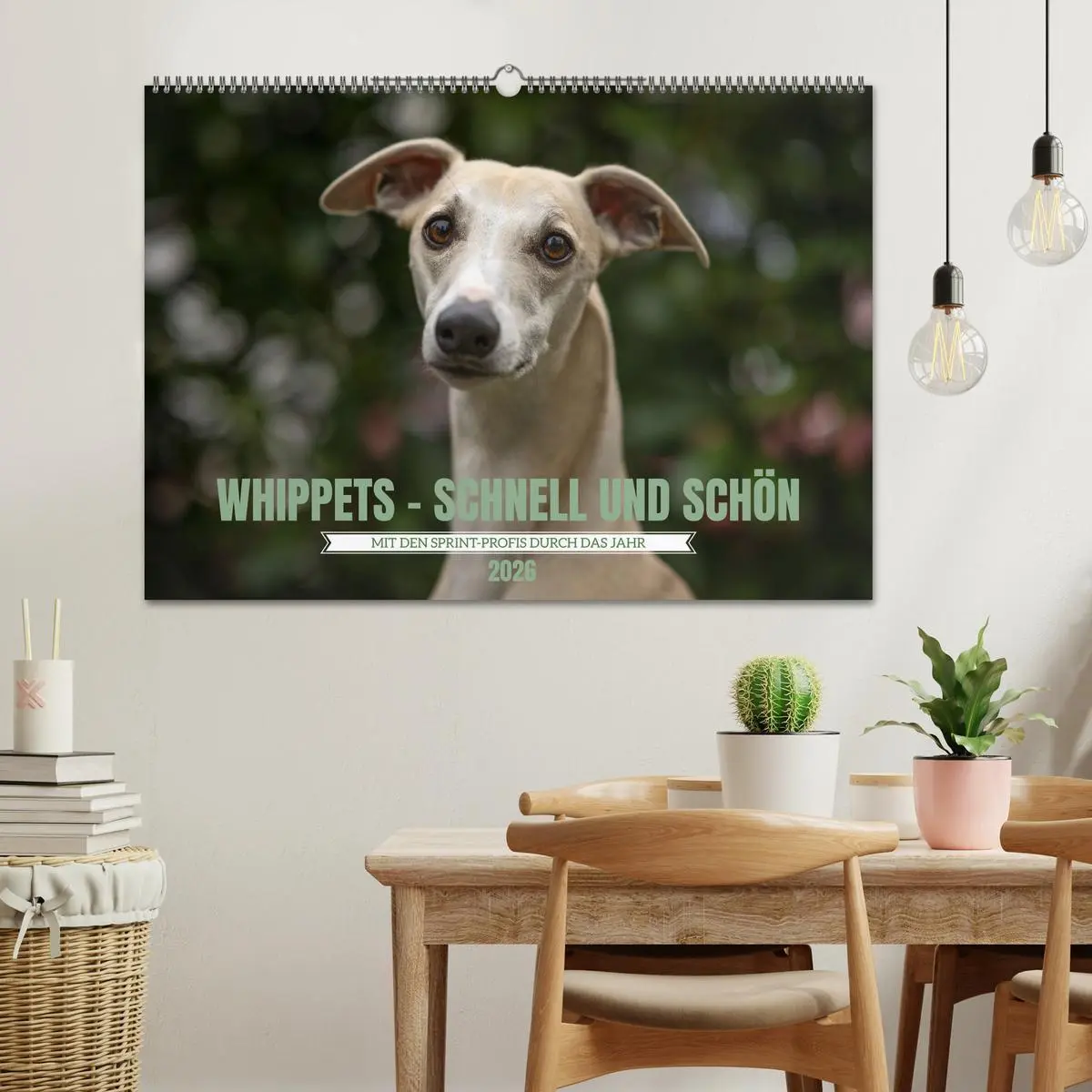 Bild: 9783457590607 | WHIPPETS - SCHNELL UND SCHÖN (Wandkalender 2026 DIN A2 quer),...