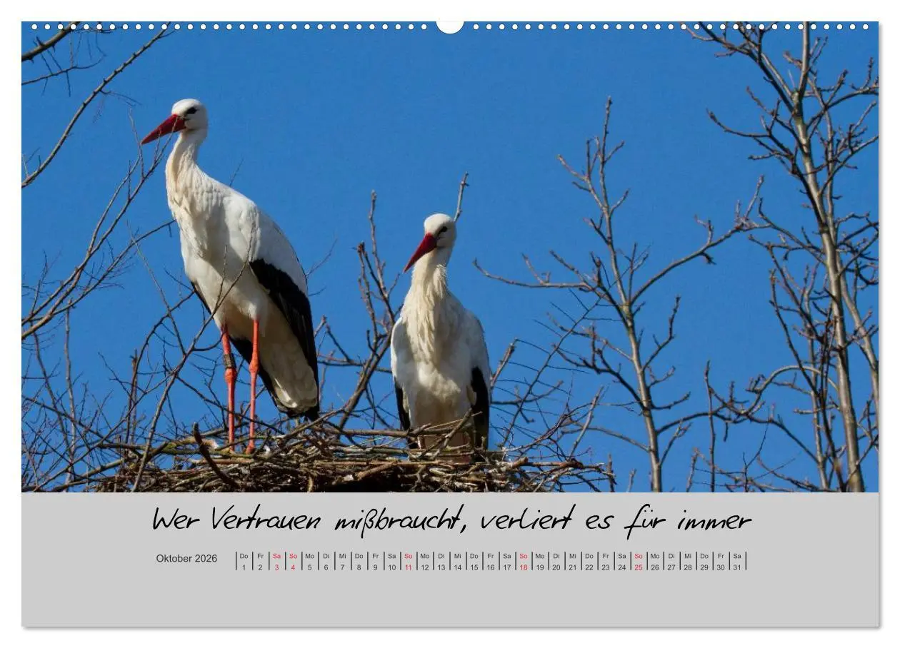 Bild: 9783516200607 | Kleine und große Wahrheiten - Sprüche zum Nachdenken (Wandkalender...