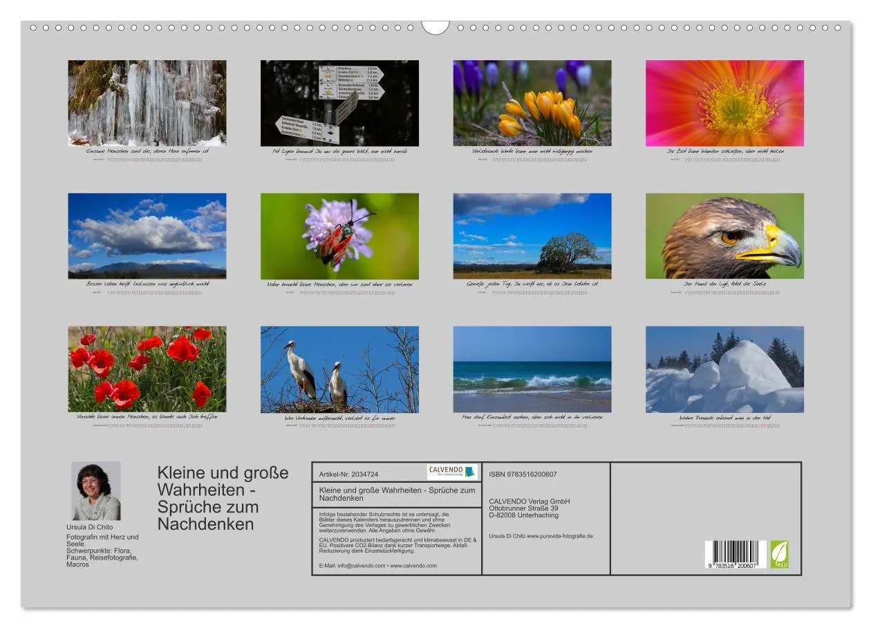 Bild: 9783516200607 | Kleine und große Wahrheiten - Sprüche zum Nachdenken (Wandkalender...