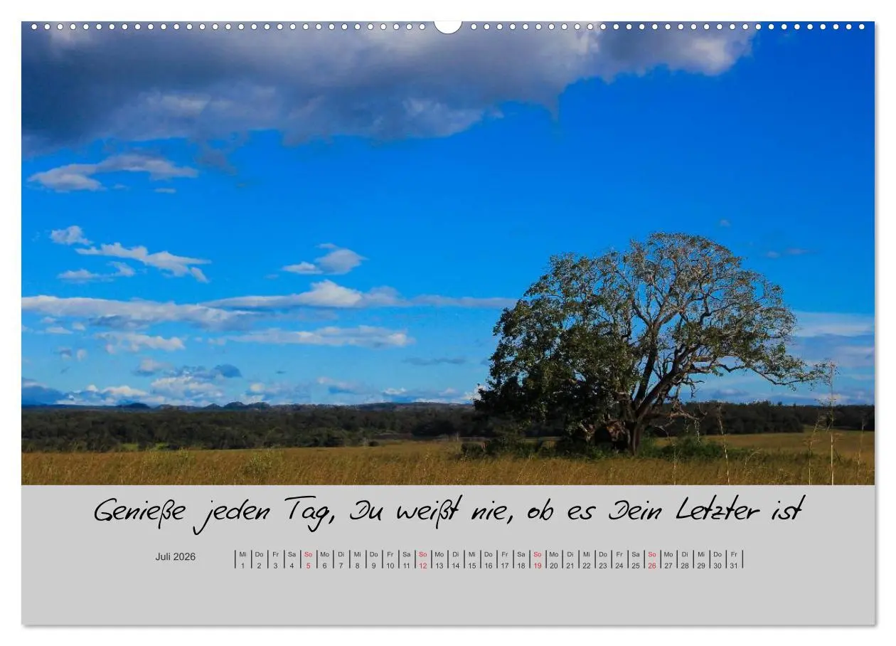 Bild: 9783516200607 | Kleine und große Wahrheiten - Sprüche zum Nachdenken (Wandkalender...