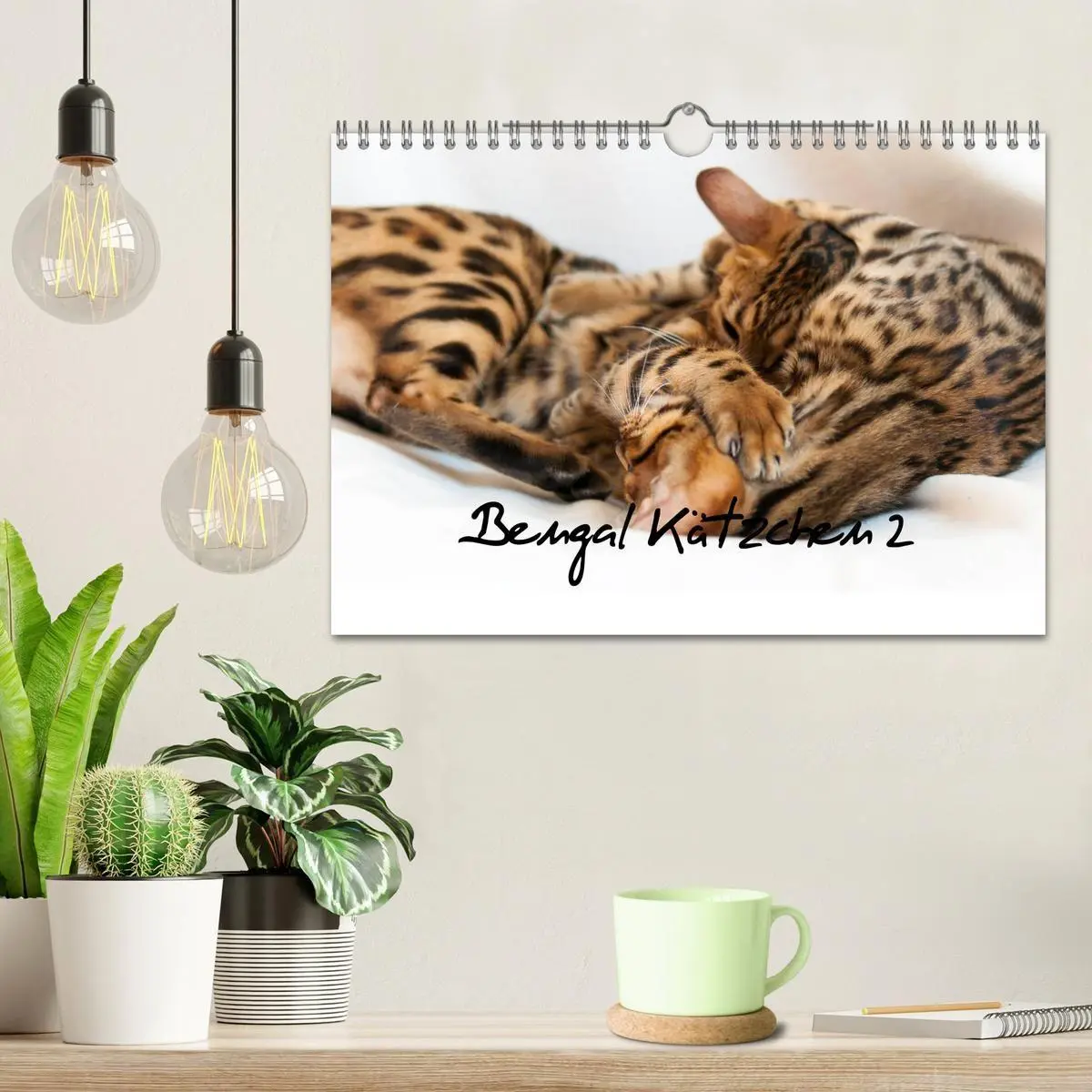Bild: 9783569770607 | Bengal Kätzchen 2 (Wandkalender 2027 DIN A4 quer), CALVENDO...