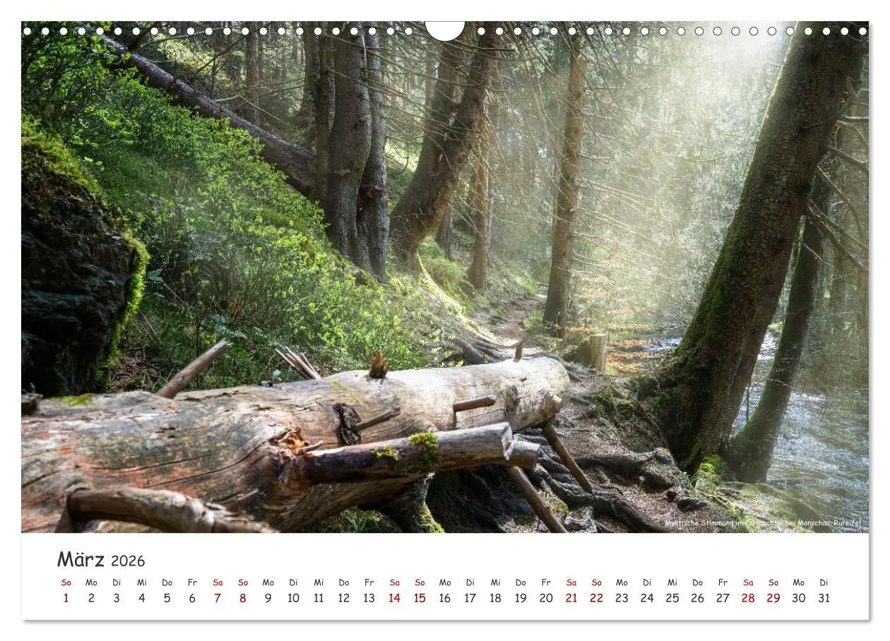 Bild: 9783457270707 | Heimat Entdecken - Eifel (Wandkalender 2026 DIN A3 quer), CALVENDO...