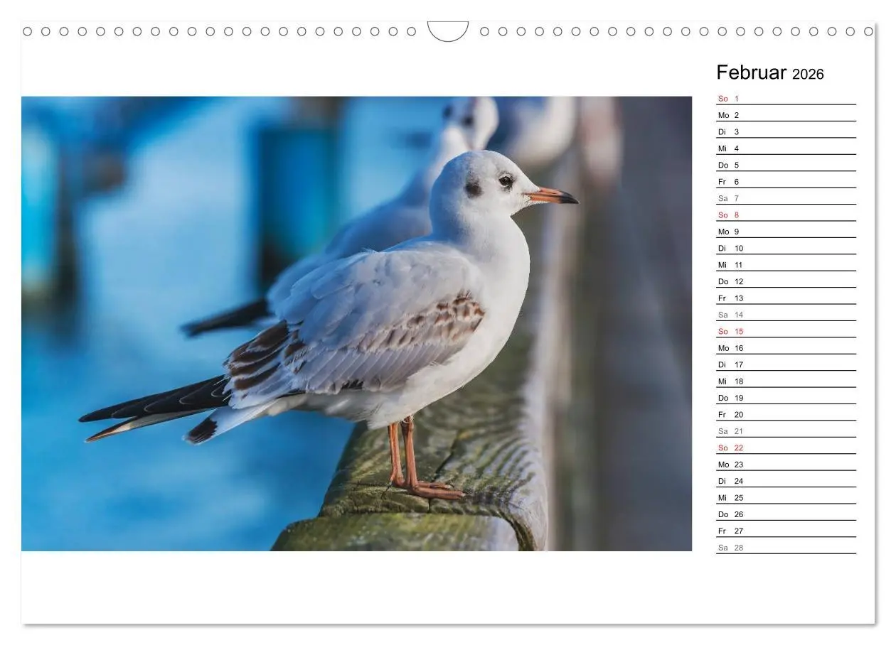 Bild: 9783457960707 | Ostseebad Binz - Zeit für Erholung (Wandkalender 2026 DIN A3 quer),...