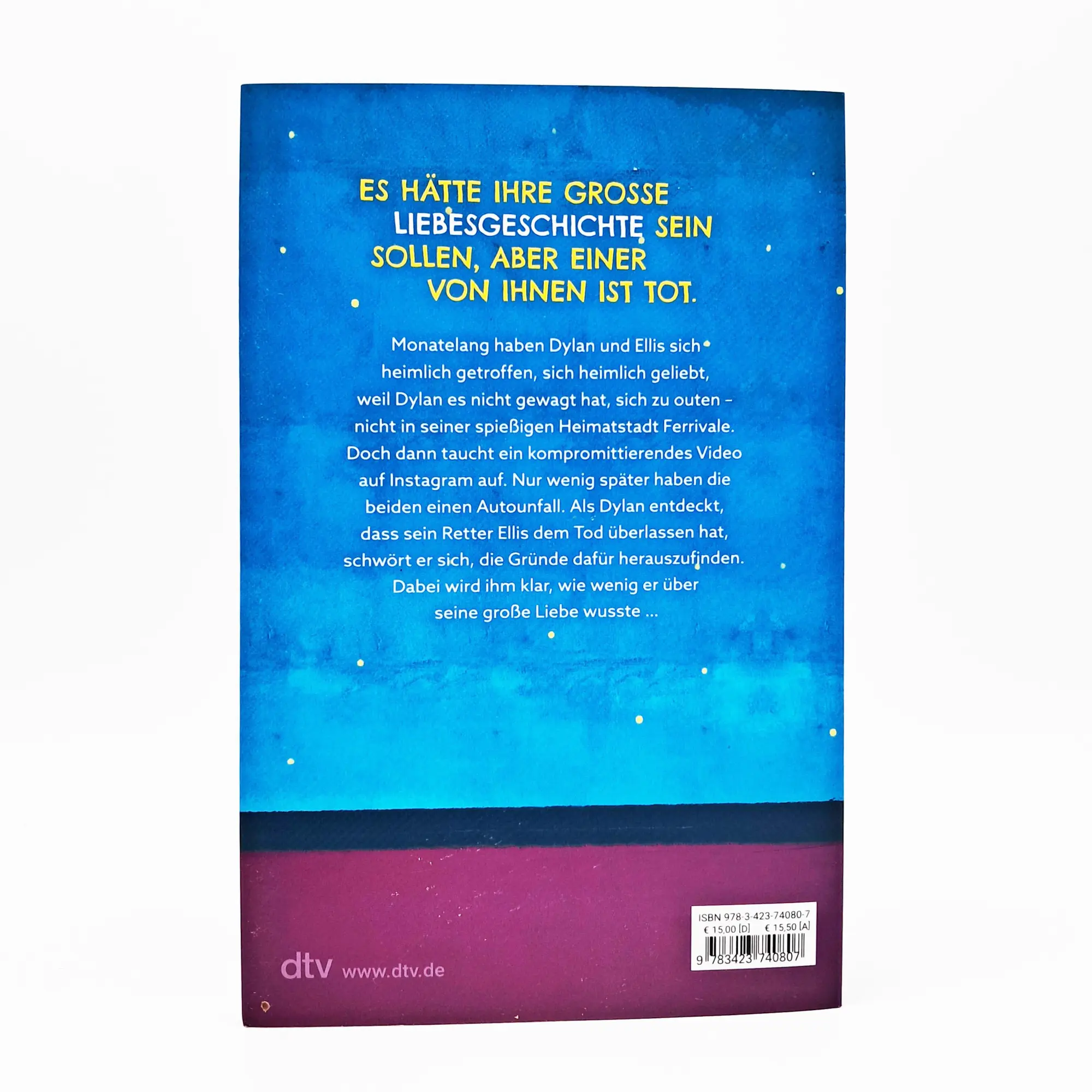 Bild: 9783423740807 | Letztendlich waren wir auch nur verliebt | William Hussey | Buch