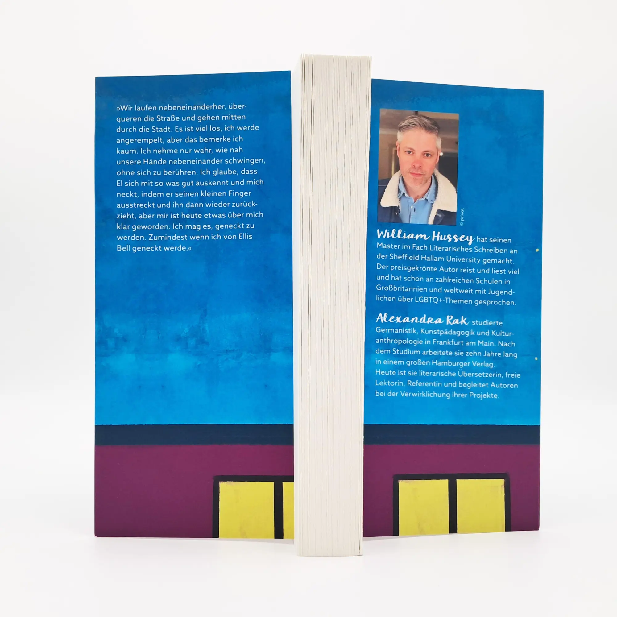 Bild: 9783423740807 | Letztendlich waren wir auch nur verliebt | William Hussey | Buch