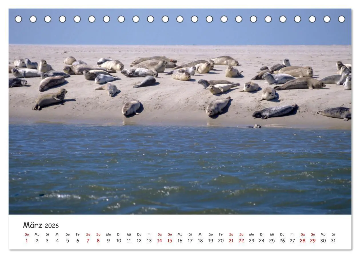 Bild: 9783457400807 | Nordsee, Meer, Strand und Wind (Tischkalender 2026 DIN A5 quer),...