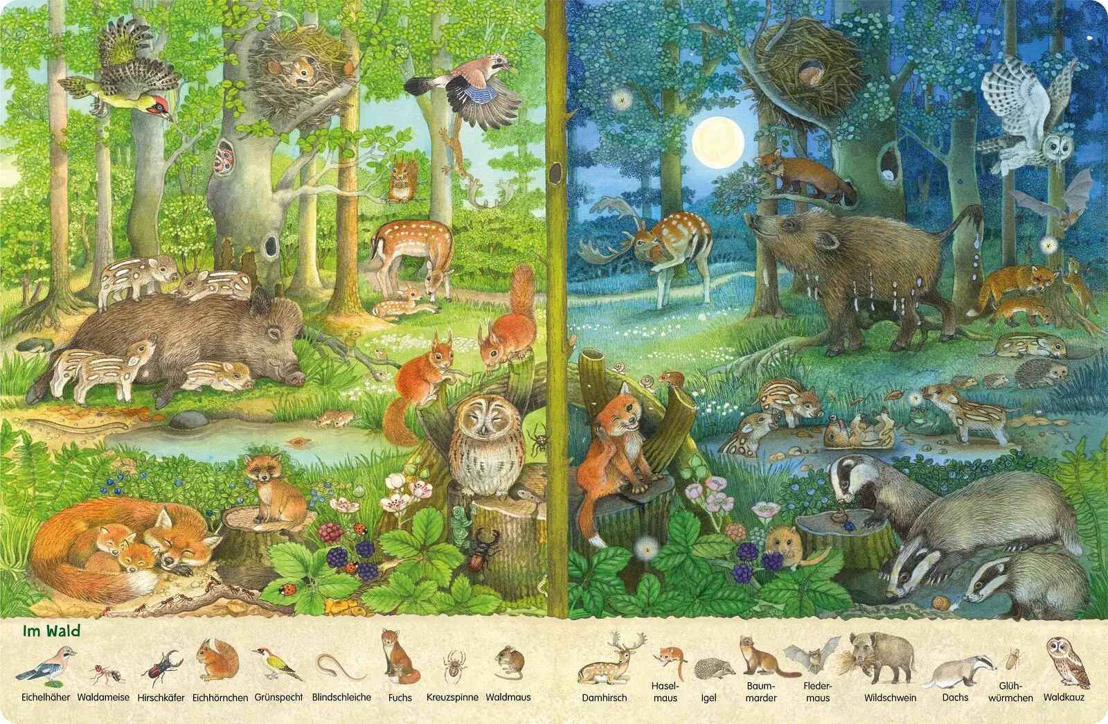 Bild: 9783480240807 | Mein erstes Wimmelbuch: Tag und Nacht bei den Tieren | Henkel | Buch