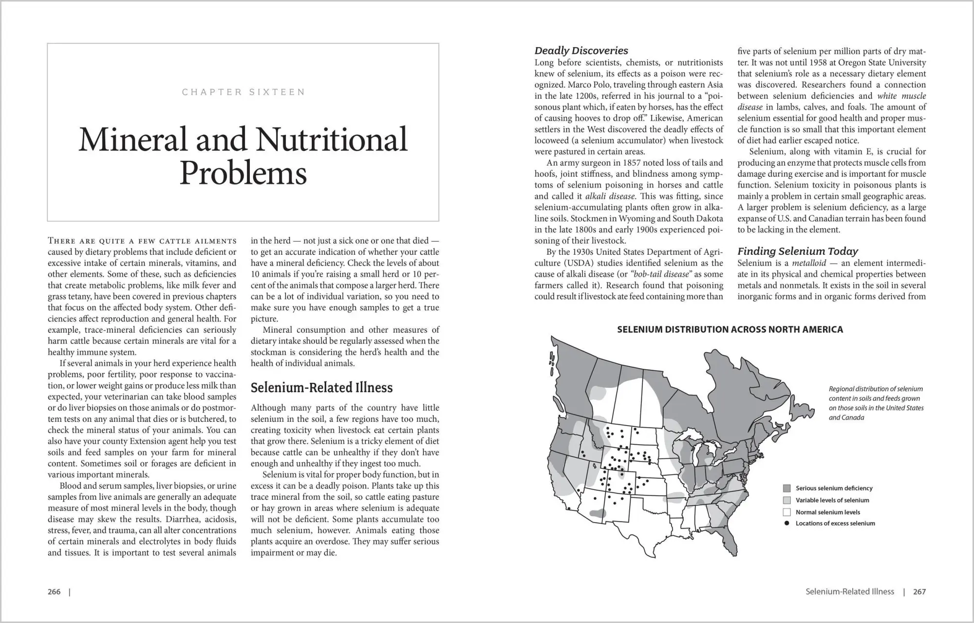 Bild: 9781603420907 | The Cattle Health Handbook | Heather Smith Thomas | Taschenbuch | 2009