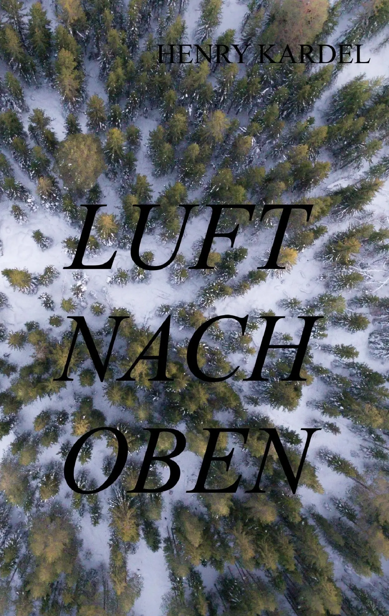Cover: 9783744800907 | Luft nach oben | Henry Kardel | Taschenbuch | 260 S. | Deutsch | 2017