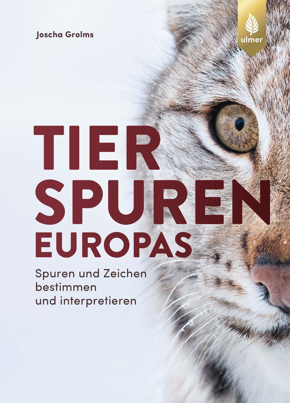 Cover: 9783818600907 | Tierspuren Europas | Joscha Grolms | Buch | 816 S. | Deutsch | 2021