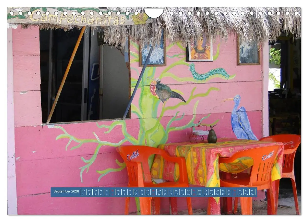 Bild: 9783516161007 | Mexiko - Land der Farben (Wandkalender 2026 DIN A4 quer), CALVENDO...