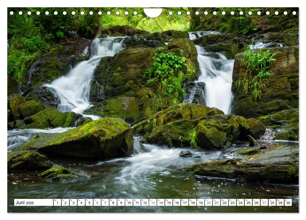 Bild: 9783516231007 | Sachsen-Anhalt - Meine vielfältige Heimat (Wandkalender 2026 DIN A4...