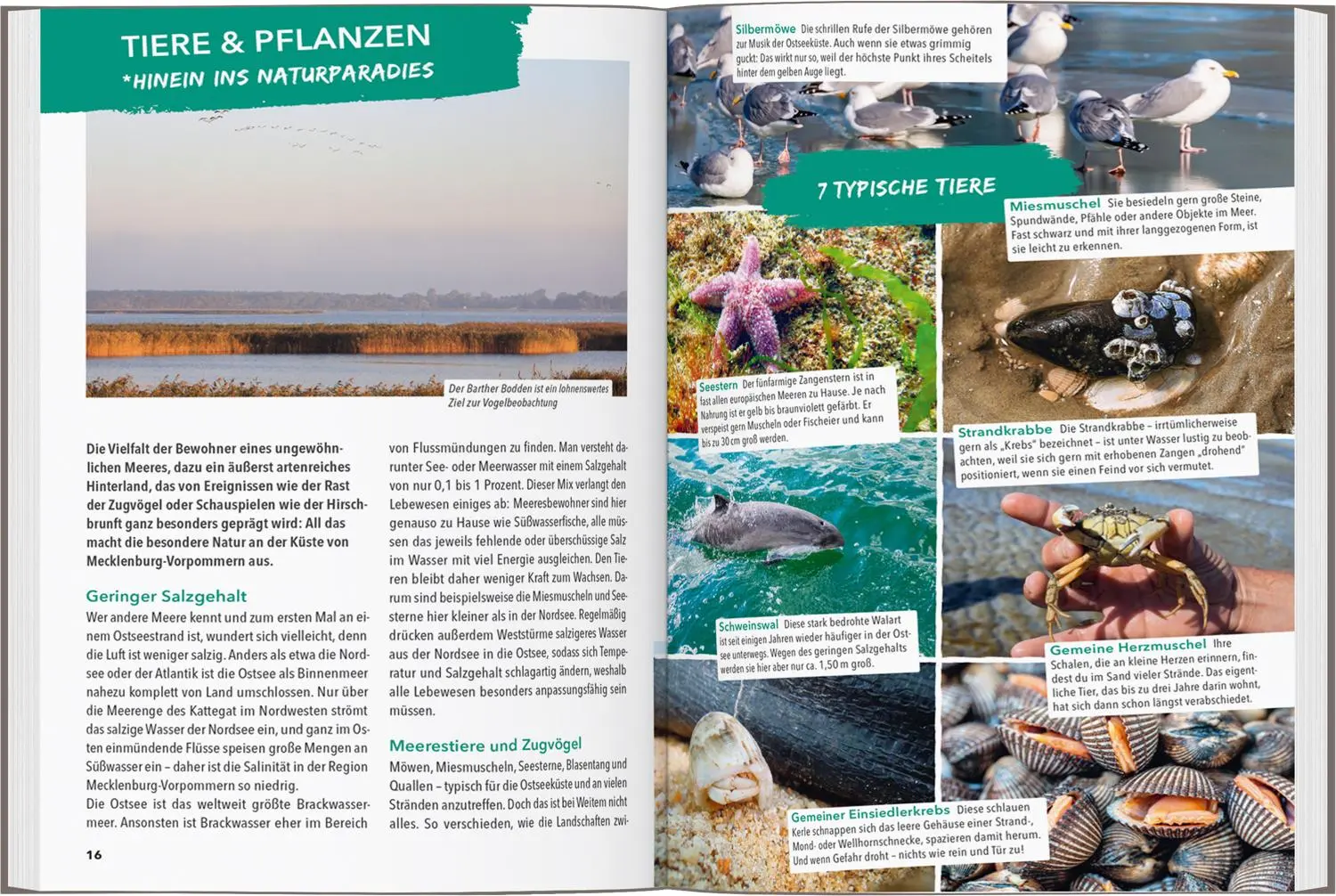 Bild: 9783575021007 | MARCO POLO OUTDOOR GUIDE Reiseführer Ostseeküste...