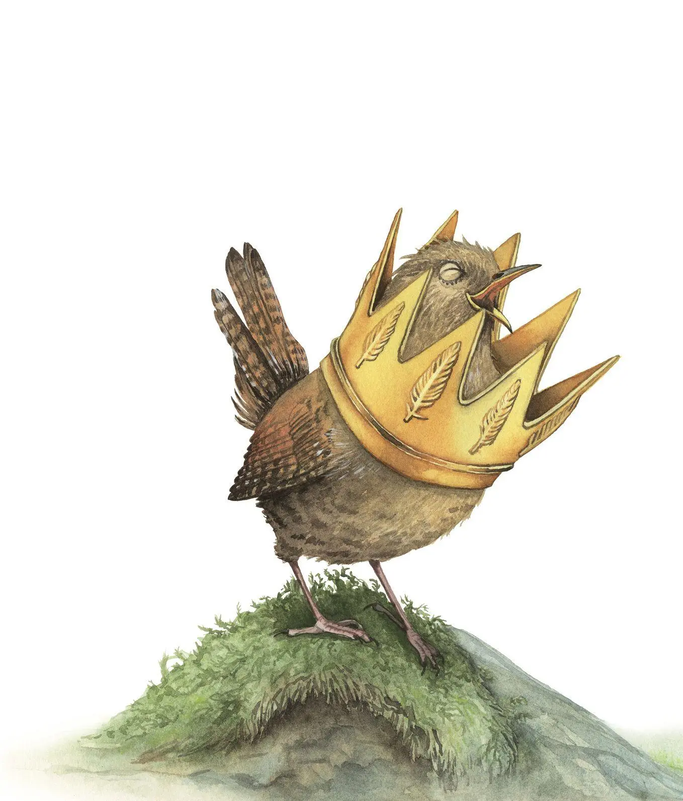 Bild: 9783963721007 | Der Zaunkönig | Brüder Grimm | Buch | 44 S. | Deutsch | 2026